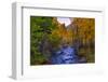 Autumn View in Bishop Creek Canyon, Yosemite California-Vincent James-Framed Photographic Print