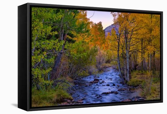 Autumn View in Bishop Creek Canyon, Yosemite California-Vincent James-Framed Stretched Canvas