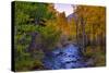 Autumn View in Bishop Creek Canyon, Yosemite California-Vincent James-Stretched Canvas