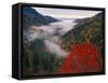 Autumn View of Fog from Morton Overlook, Great Smoky Mountains National Park, Tennessee, USA-Adam Jones-Framed Stretched Canvas