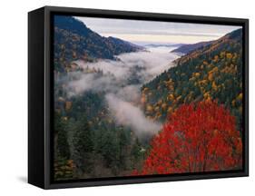 Autumn View of Fog from Morton Overlook, Great Smoky Mountains National Park, Tennessee, USA-Adam Jones-Framed Stretched Canvas