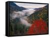 Autumn View of Fog from Morton Overlook, Great Smoky Mountains National Park, Tennessee, USA-Adam Jones-Framed Stretched Canvas