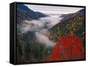 Autumn View of Fog from Morton Overlook, Great Smoky Mountains National Park, Tennessee, USA-Adam Jones-Framed Stretched Canvas