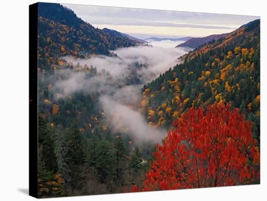 Autumn View of Fog from Morton Overlook, Great Smoky Mountains National Park, Tennessee, USA-Adam Jones-Stretched Canvas