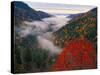 Autumn View of Fog from Morton Overlook, Great Smoky Mountains National Park, Tennessee, USA-Adam Jones-Stretched Canvas