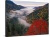 Autumn View of Fog from Morton Overlook, Great Smoky Mountains National Park, Tennessee, USA-Adam Jones-Stretched Canvas