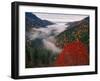 Autumn View of Fog from Morton Overlook, Great Smoky Mountains National Park, Tennessee, USA-Adam Jones-Framed Premium Photographic Print