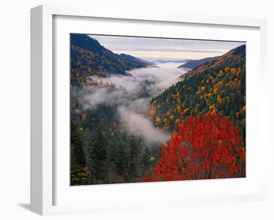 Autumn View of Fog from Morton Overlook, Great Smoky Mountains National Park, Tennessee, USA-Adam Jones-Framed Premium Photographic Print