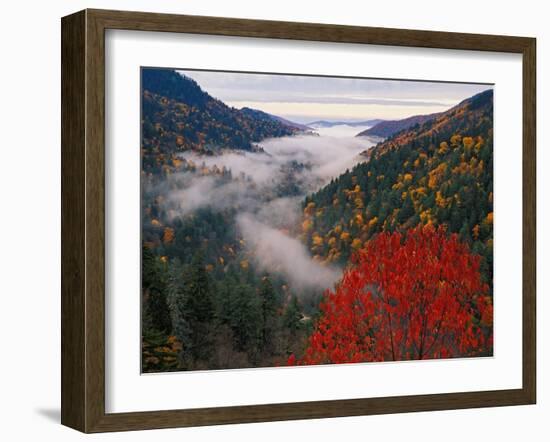 Autumn View of Fog from Morton Overlook, Great Smoky Mountains National Park, Tennessee, USA-Adam Jones-Framed Photographic Print