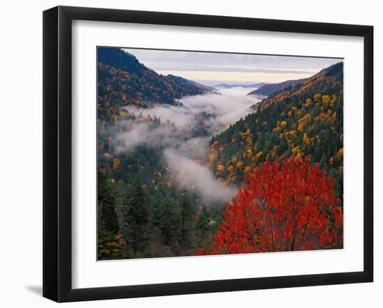 Autumn View of Fog from Morton Overlook, Great Smoky Mountains National Park, Tennessee, USA-Adam Jones-Framed Photographic Print