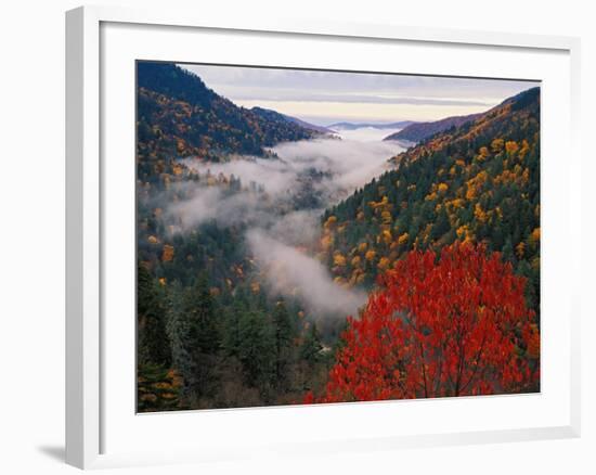 Autumn View of Fog from Morton Overlook, Great Smoky Mountains National Park, Tennessee, USA-Adam Jones-Framed Photographic Print