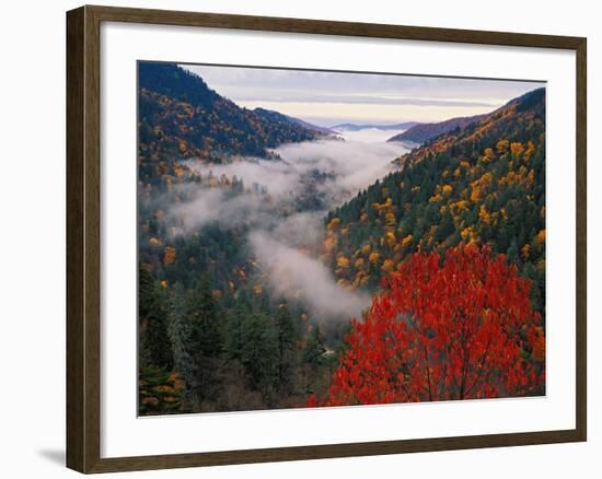 Autumn View of Fog from Morton Overlook, Great Smoky Mountains National Park, Tennessee, USA-Adam Jones-Framed Photographic Print