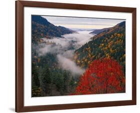 Autumn View of Fog from Morton Overlook, Great Smoky Mountains National Park, Tennessee, USA-Adam Jones-Framed Photographic Print