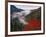 Autumn View of Fog from Morton Overlook, Great Smoky Mountains National Park, Tennessee, USA-Adam Jones-Framed Photographic Print