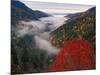 Autumn View of Fog from Morton Overlook, Great Smoky Mountains National Park, Tennessee, USA-Adam Jones-Mounted Photographic Print