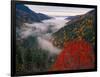 Autumn View of Fog from Morton Overlook, Great Smoky Mountains National Park, Tennessee, USA-Adam Jones-Framed Photographic Print