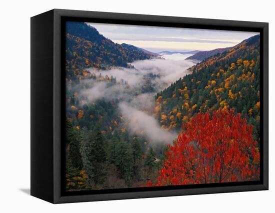 Autumn View of Fog from Morton Overlook, Great Smoky Mountains National Park, Tennessee, USA-Adam Jones-Framed Stretched Canvas