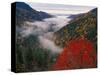 Autumn View of Fog from Morton Overlook, Great Smoky Mountains National Park, Tennessee, USA-Adam Jones-Stretched Canvas