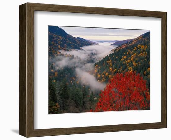 Autumn View of Fog from Morton Overlook, Great Smoky Mountains National Park, Tennessee, USA-Adam Jones-Framed Photographic Print