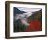 Autumn View of Fog from Morton Overlook, Great Smoky Mountains National Park, Tennessee, USA-Adam Jones-Framed Photographic Print