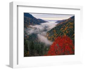 Autumn View of Fog from Morton Overlook, Great Smoky Mountains National Park, Tennessee, USA-Adam Jones-Framed Photographic Print