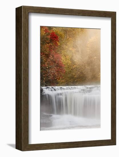 Autumn view of Hooker Falls on Little River, DuPont State Forest, near Brevard, North Carolina-Adam Jones-Framed Photographic Print