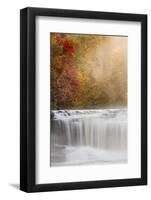 Autumn view of Hooker Falls on Little River, DuPont State Forest, near Brevard, North Carolina-Adam Jones-Framed Photographic Print