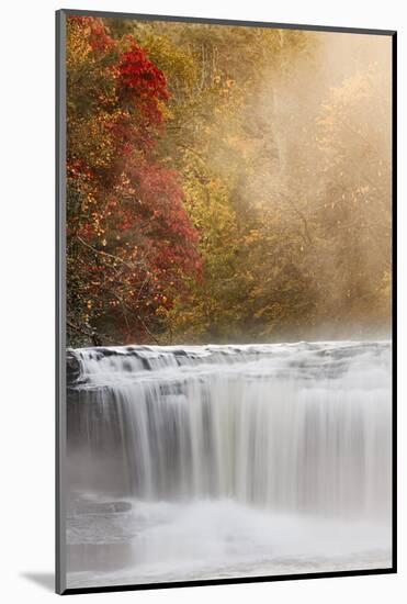 Autumn view of Hooker Falls on Little River, DuPont State Forest, near Brevard, North Carolina-Adam Jones-Mounted Photographic Print