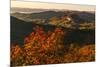 Autumn view of Looking Glass Rock from Blue Ridge Parkway, near Brevard, North Carolina-Adam Jones-Mounted Photographic Print