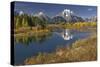 Autumn view of Mount Moran and Snake River, Grand Teton National Park, Wyoming-Adam Jones-Stretched Canvas