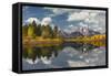 Autumn view of Mount Moran and Snake River, Grand Teton National Park, Wyoming-Adam Jones-Framed Stretched Canvas