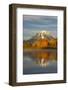 Autumn view of Mount Moran and Snake River, Grand Teton National Park, Wyoming-Adam Jones-Framed Photographic Print