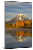 Autumn view of Mount Moran and Snake River, Grand Teton National Park, Wyoming-Adam Jones-Mounted Photographic Print