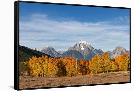 Autumn view of Mount Moran and Snake River, Grand Teton National Park.-Adam Jones-Framed Stretched Canvas