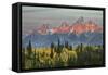 Autumn view of Teton Range at sunrise, Grand Teton National Park, Wyoming-Adam Jones-Framed Stretched Canvas