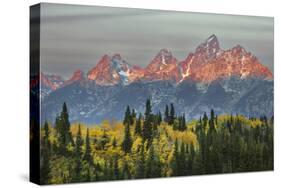 Autumn view of Teton Range at sunrise, Grand Teton National Park, Wyoming-Adam Jones-Stretched Canvas