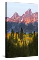 Autumn view of Teton Range at sunrise, Grand Teton National Park.-Adam Jones-Stretched Canvas