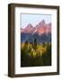 Autumn view of Teton Range at sunrise, Grand Teton National Park.-Adam Jones-Framed Photographic Print