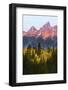 Autumn view of Teton Range at sunrise, Grand Teton National Park.-Adam Jones-Framed Photographic Print