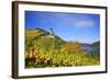 Autumn View of the Castle Ruin FŸrstenberg over the Village Rheindiebach-Uwe Steffens-Framed Photographic Print