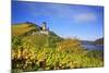 Autumn View of the Castle Ruin FŸrstenberg over the Village Rheindiebach-Uwe Steffens-Mounted Photographic Print