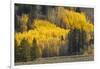 Autumn view of willows along shoreline of Two Ocean Lake, Grand Teton National Park, Wyoming-Adam Jones-Framed Photographic Print