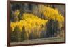 Autumn view of willows along shoreline of Two Ocean Lake, Grand Teton National Park, Wyoming-Adam Jones-Framed Photographic Print