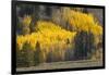 Autumn view of willows along shoreline of Two Ocean Lake, Grand Teton National Park, Wyoming-Adam Jones-Framed Photographic Print