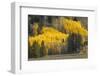 Autumn view of willows along shoreline of Two Ocean Lake, Grand Teton National Park, Wyoming-Adam Jones-Framed Photographic Print