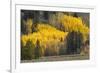 Autumn view of willows along shoreline of Two Ocean Lake, Grand Teton National Park, Wyoming-Adam Jones-Framed Photographic Print