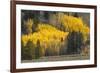 Autumn view of willows along shoreline of Two Ocean Lake, Grand Teton National Park, Wyoming-Adam Jones-Framed Photographic Print