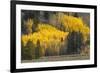 Autumn view of willows along shoreline of Two Ocean Lake, Grand Teton National Park, Wyoming-Adam Jones-Framed Photographic Print