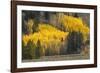 Autumn view of willows along shoreline of Two Ocean Lake, Grand Teton National Park, Wyoming-Adam Jones-Framed Photographic Print