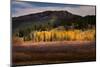 Autumn view of willows and aspen groves, Grand Teton National Park.-Adam Jones-Mounted Photographic Print